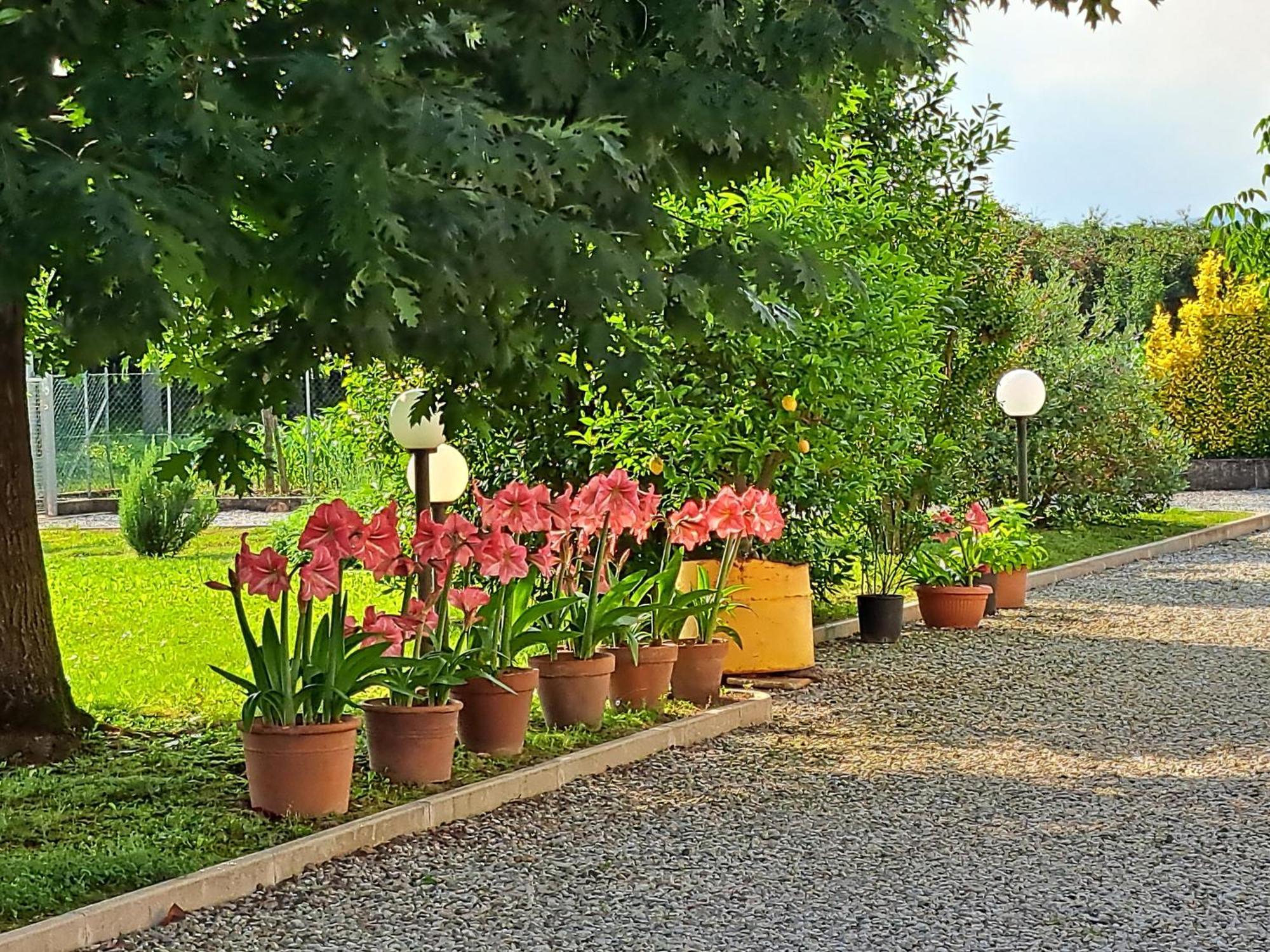 Borgo Barucchella Hotel Sant'Andra Kültér fotó