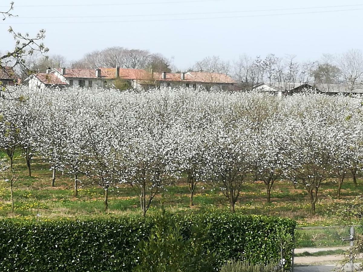 Borgo Barucchella Hotel Sant'Andra Kültér fotó